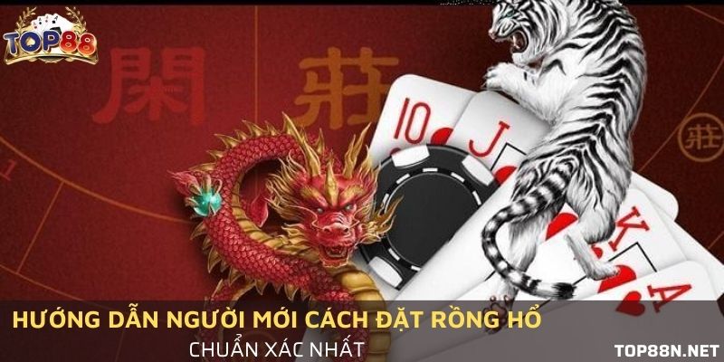 Cách đặt Rồng hổ chuẩn xác